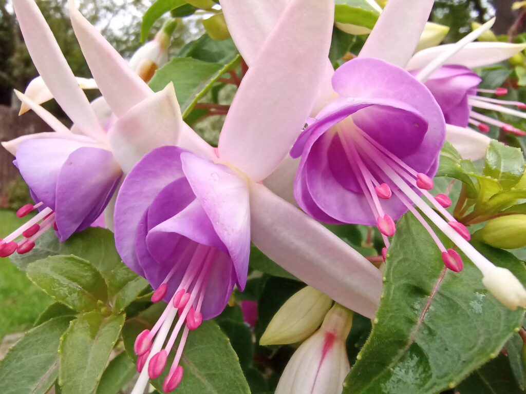 infinix zero 8 photos